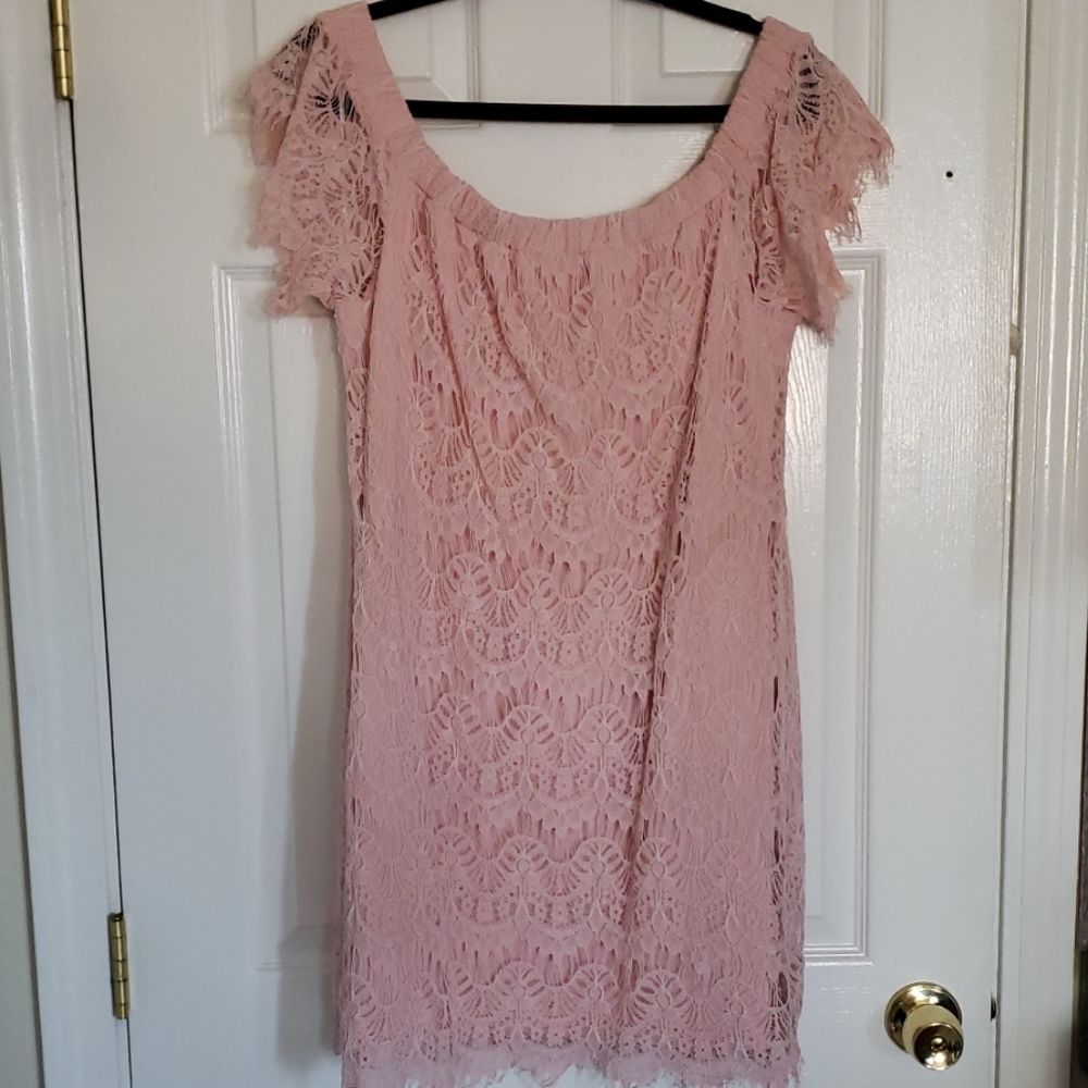 City Chic Blush Dress - 14